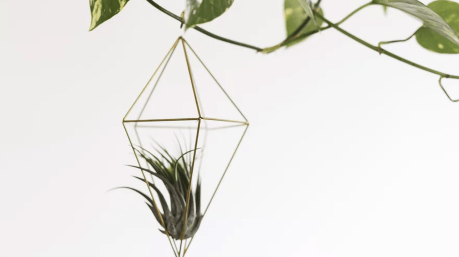 Sustainability and the family! - Our Better Planet