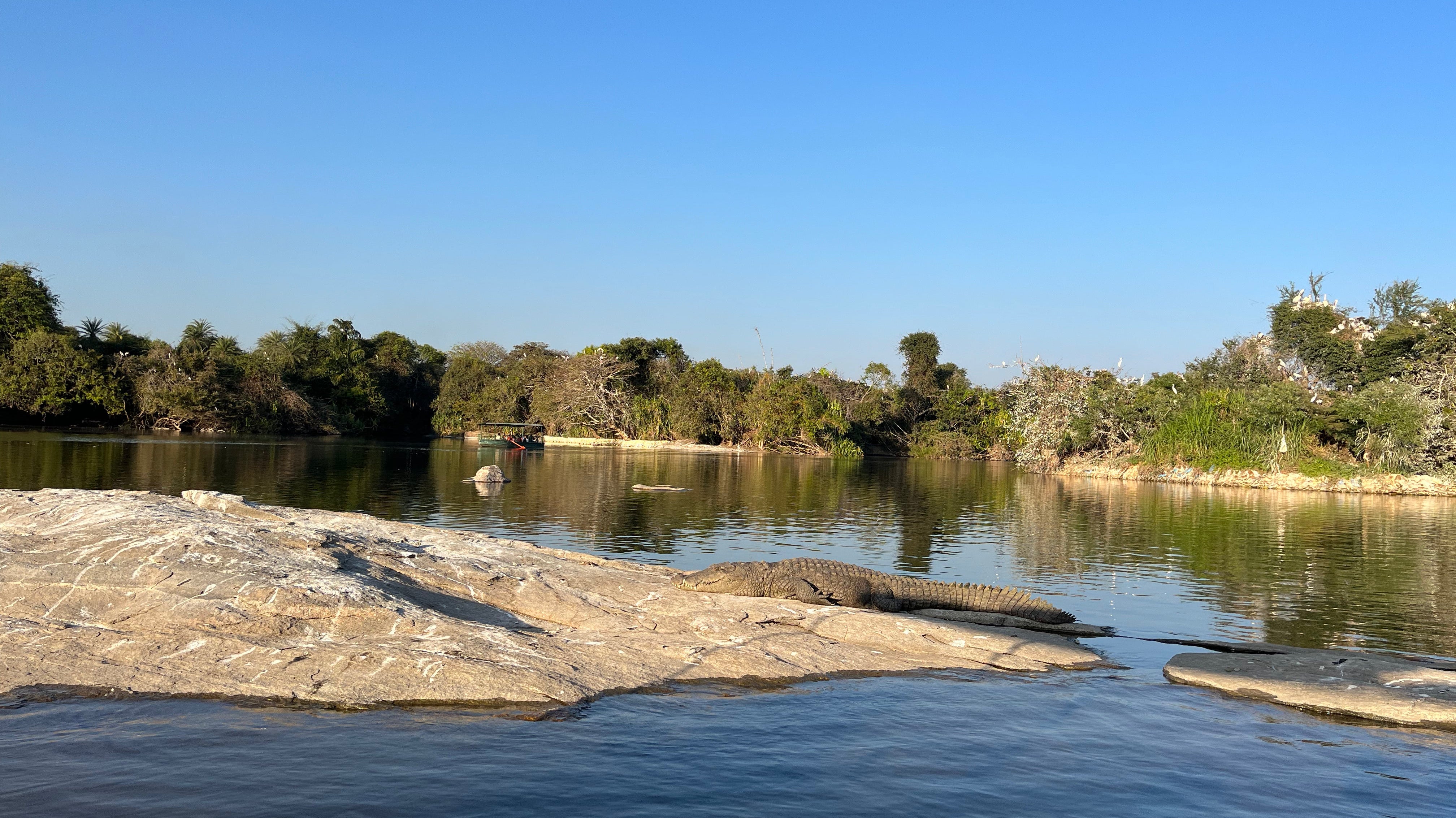 Essentials for Summer Travel!!