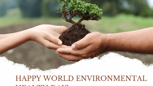 Why sustainability matters for World Environmental Health? - Our Better Planet