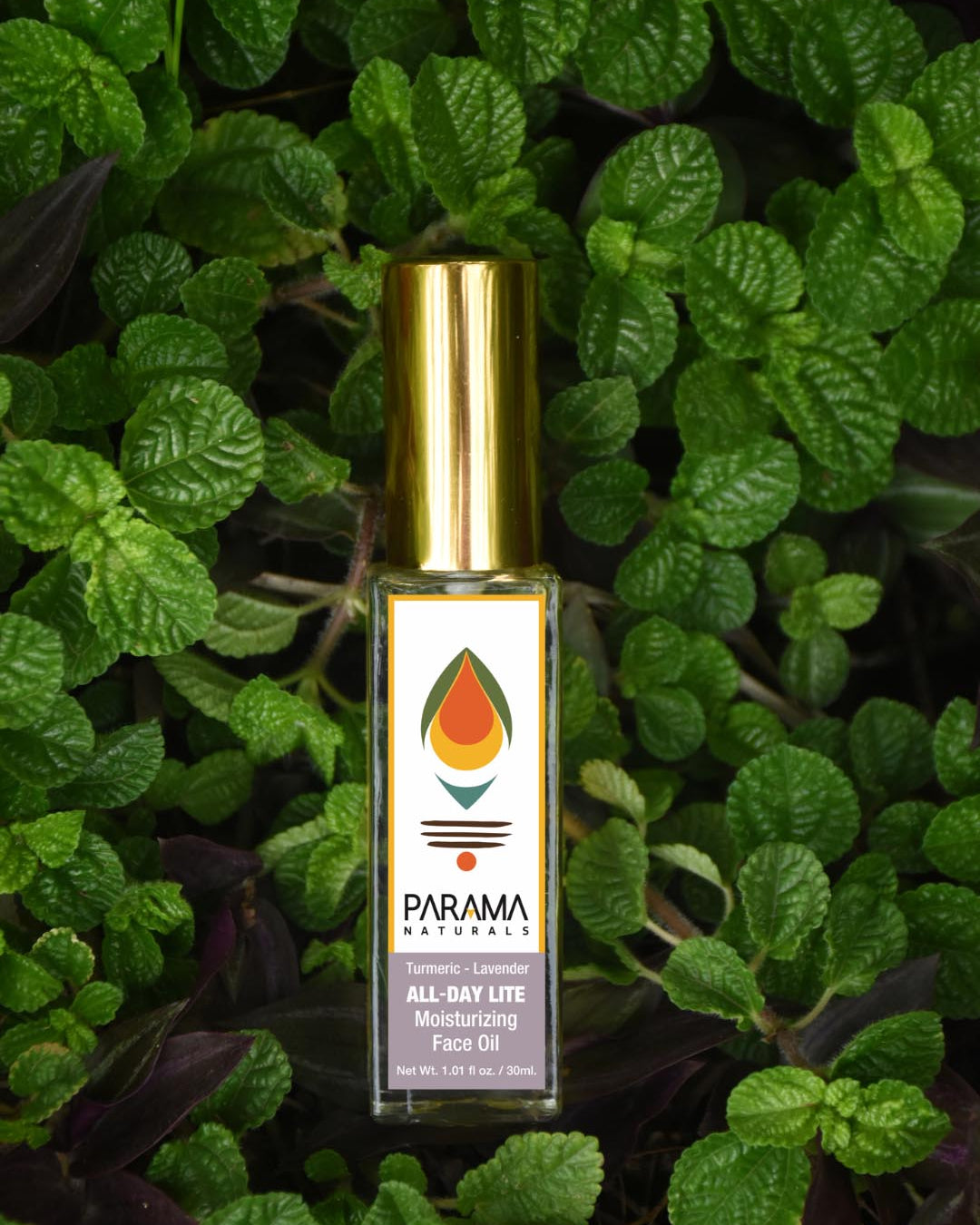 Parama Naturals All Day Lite face Oil Face Serum Face Moisturizer Lavender Oil, Sesame oil, Turmeric Oil, almond Oil Moisturizer, radiance facial oil & skin brightening day serum for sensitive skin, oily skin, combination skin, dry skin with anti-oxidant turmerones 1.2% and vitamin-rich turmeric oil, mood-uplifting Himalayan Lavender Oil, for anti-aging, lavender oil and natural sun protection, trial, travel kit.