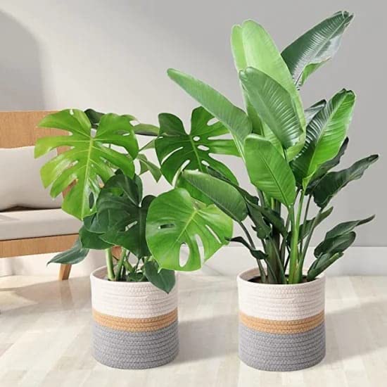 Jute Planter Pots/Storage Basket with Handle (6 Inch)"