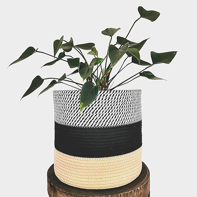 Jute Cotton Planter  - 12 Inches (Tri Band, Beige/Black Zigzag, Pack of 1)"