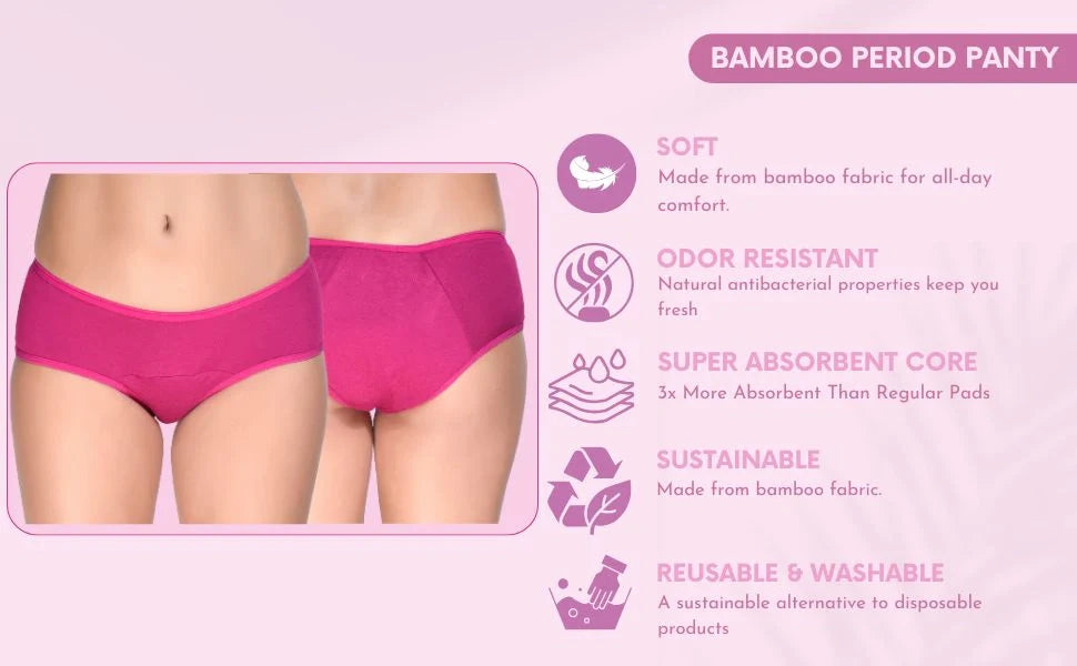 Period Underwear in clothing