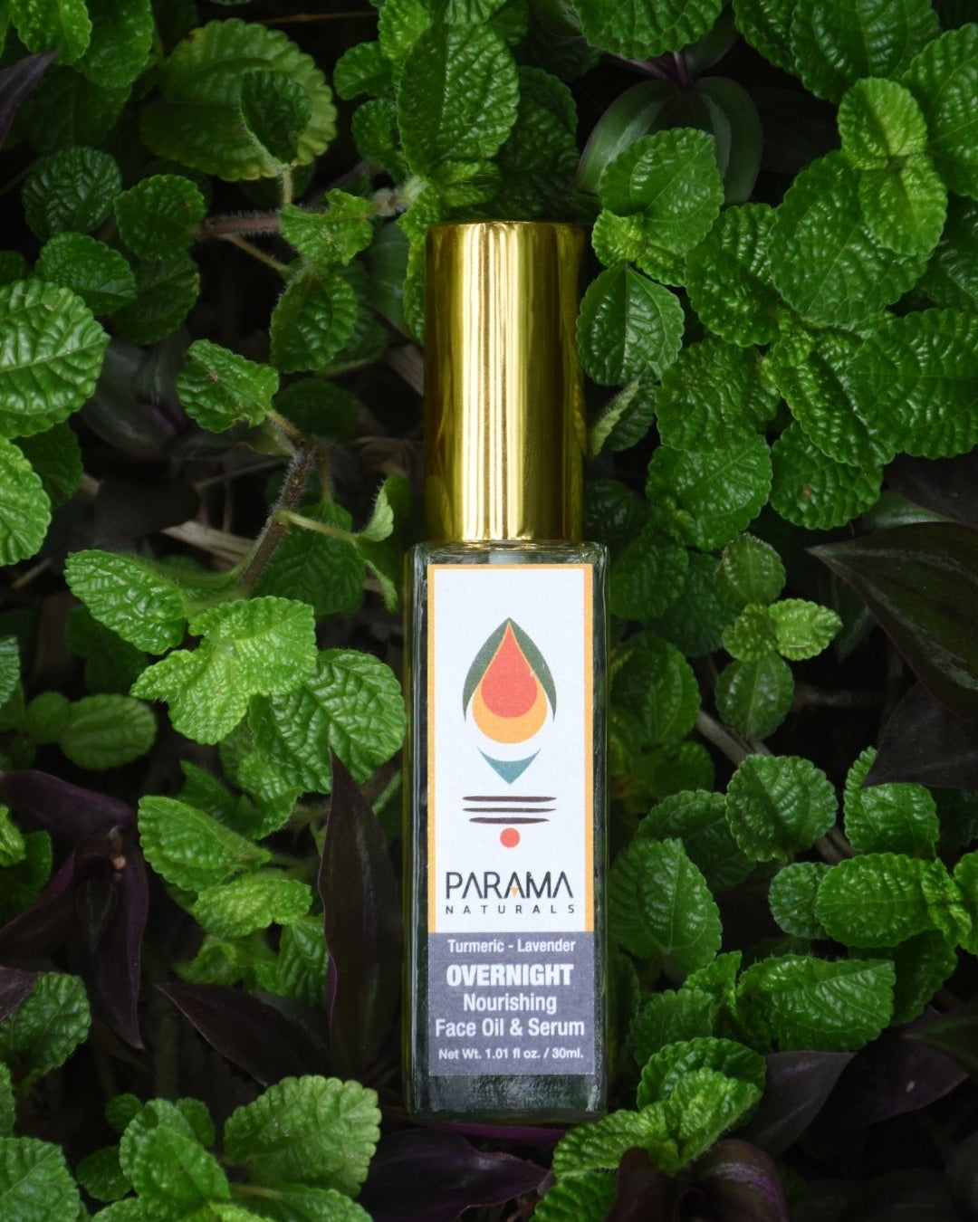 Parama Naturals Lavender-Turmeric Overnight Face Oil & Serum, Lavender Oil, Face Oil, Face Serum, Wrinkles Remover