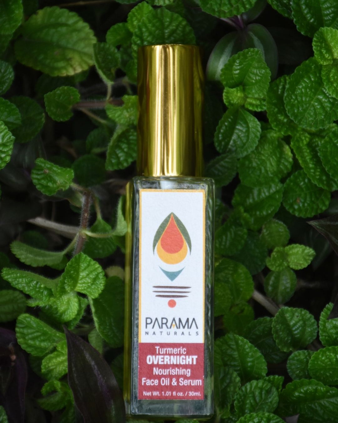 parama naturals, turmeric skin care, face serum, night face oil, wrinkles free, Dark Circle Remover , Acne-Prone Skin, Turmeric Skin Care, Coconut Oil