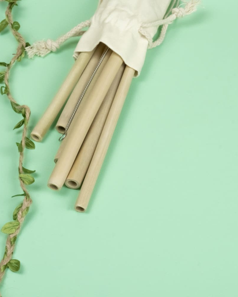 Bamboo Straws with Cleaner - Pack of 2 - Our Better Planet