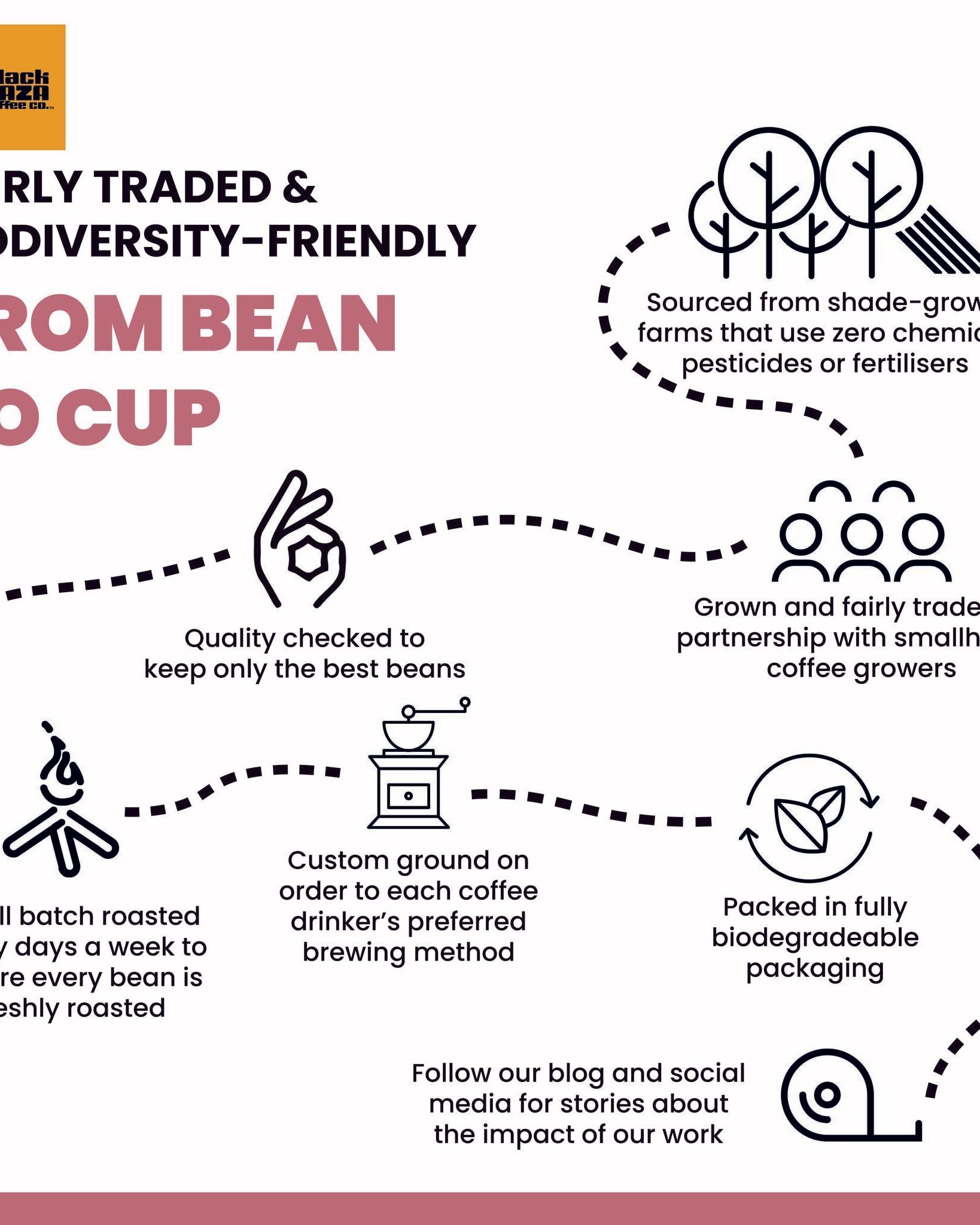 Black Baza Coffee Ficus Arabica-Robusta Blend Freshly Roasted - Our Better Planet