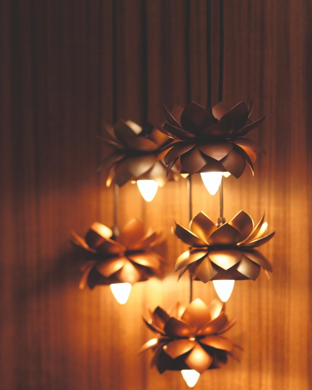 Courtyard Courtyard Sarover Hanging Gold Lamp And Fitting - Our Better Planet