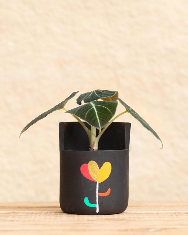 Earth Heart Jasmine Hand Made Hand Illustrated Terracotta Planter (M) - Our Better Planet