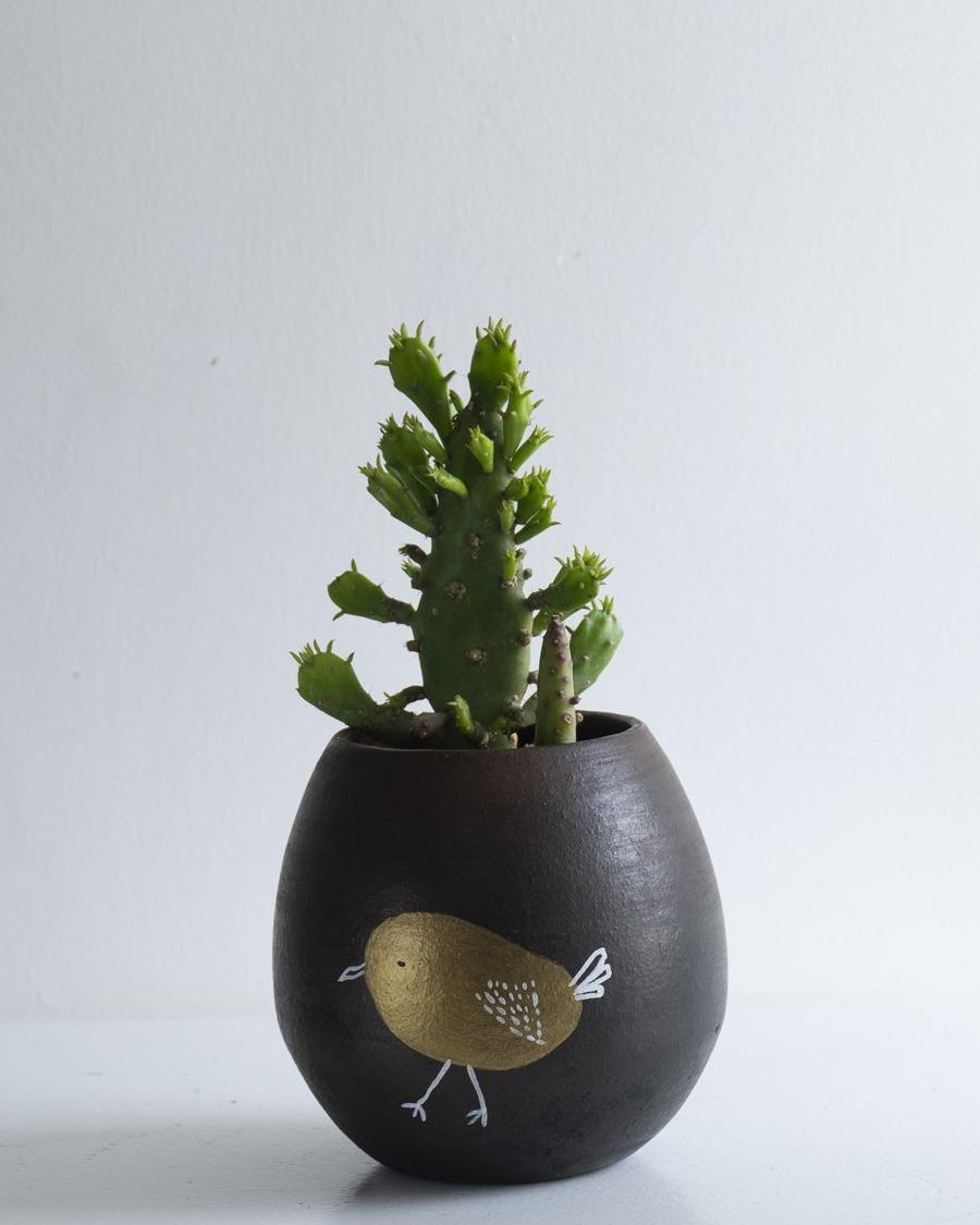 Earth Heart Li'l Coco Terracotta Planter - Our Better Planet