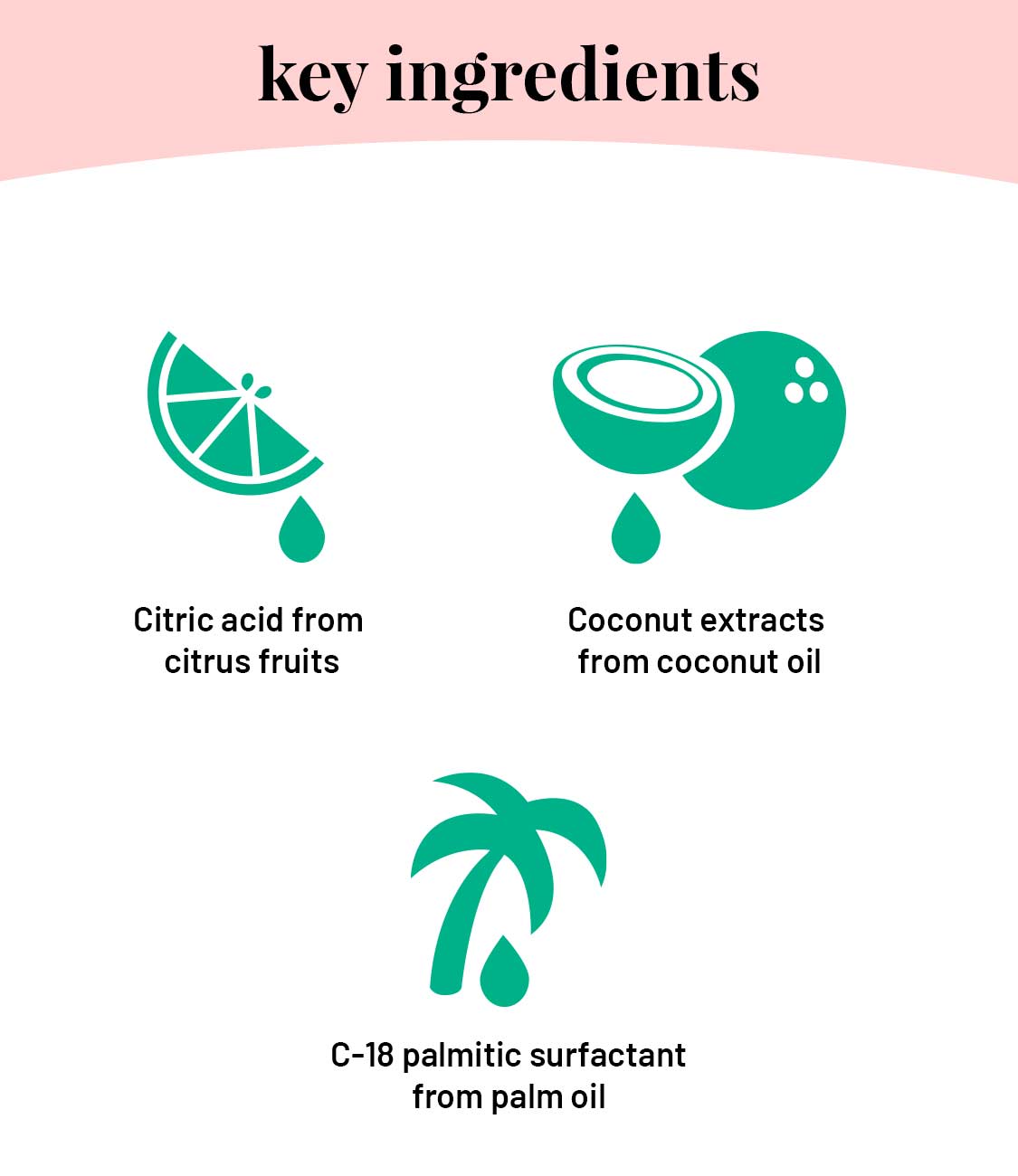 Eco-Friendly Toilet Bowl Cleaner Liquid - Our Better Planet