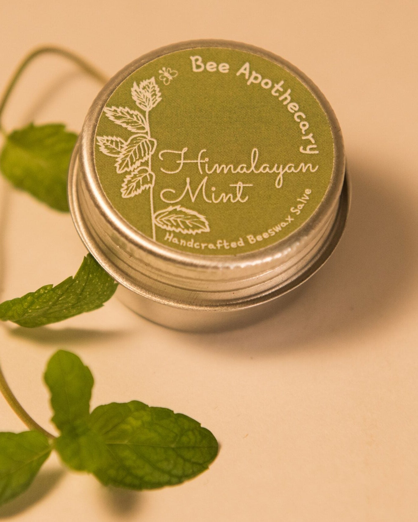 Himalayan Mint Beeswax Salve - Our Better Planet