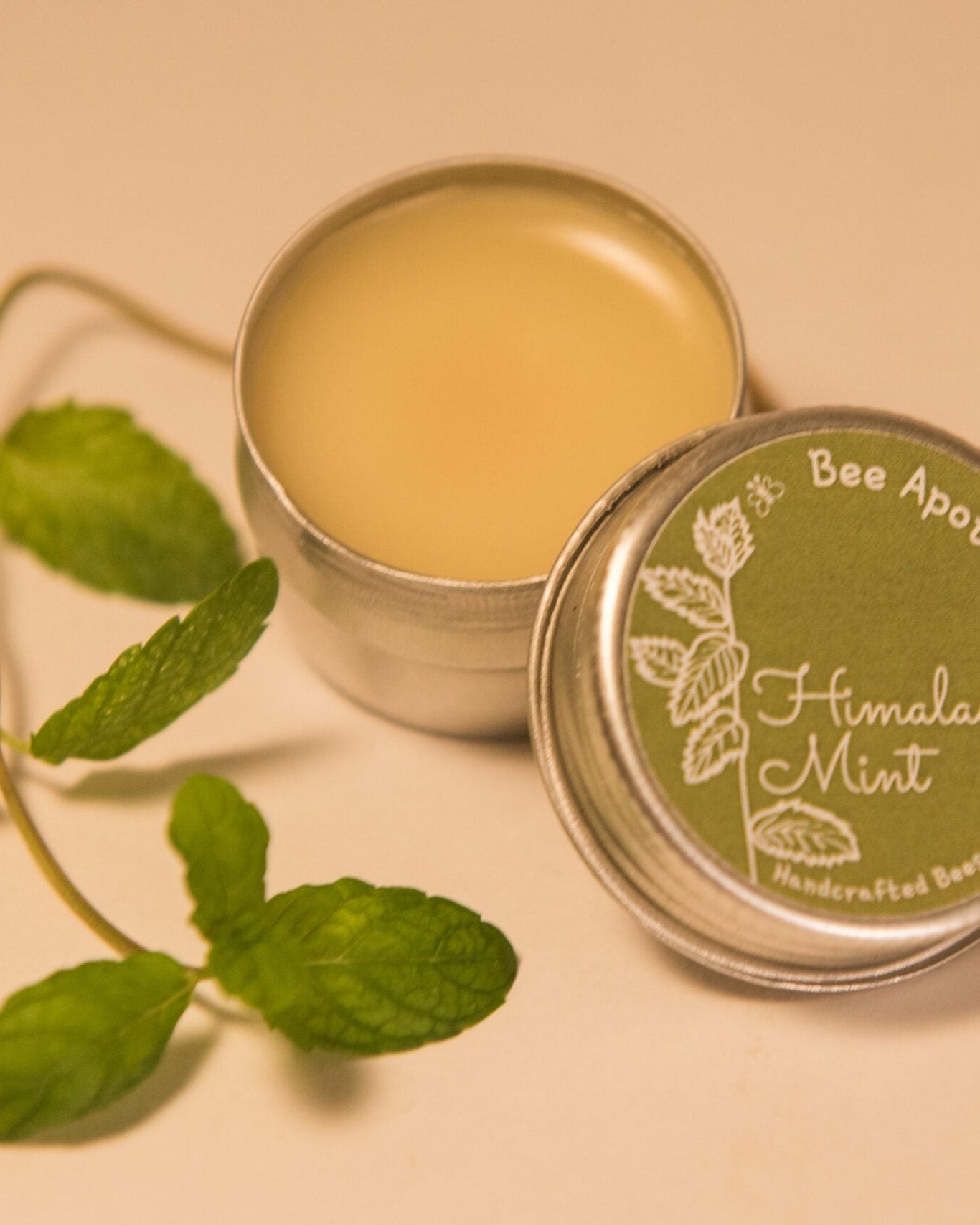 Himalayan Mint Beeswax Salve - Our Better Planet