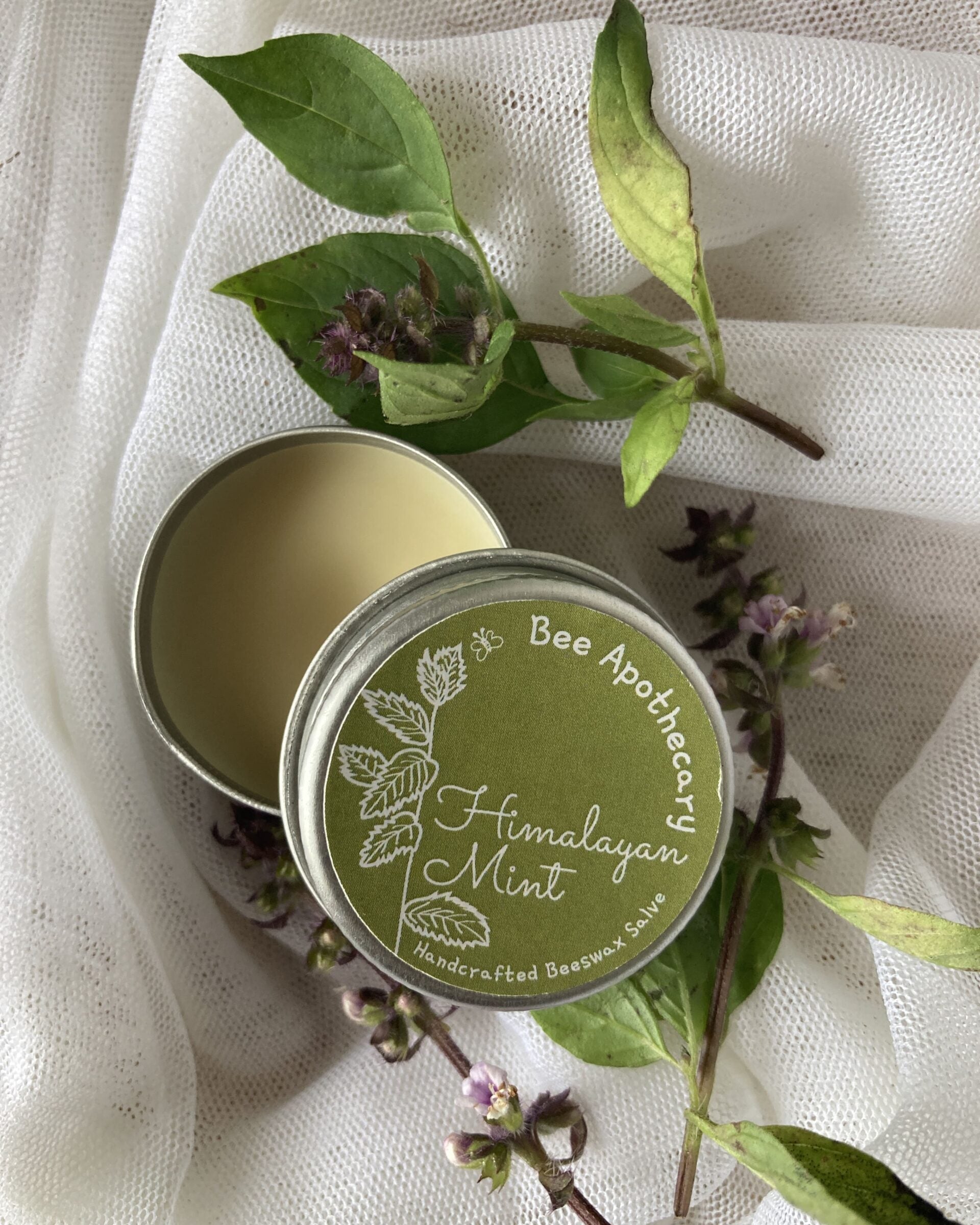 Himalayan Mint Beeswax Salve - Our Better Planet