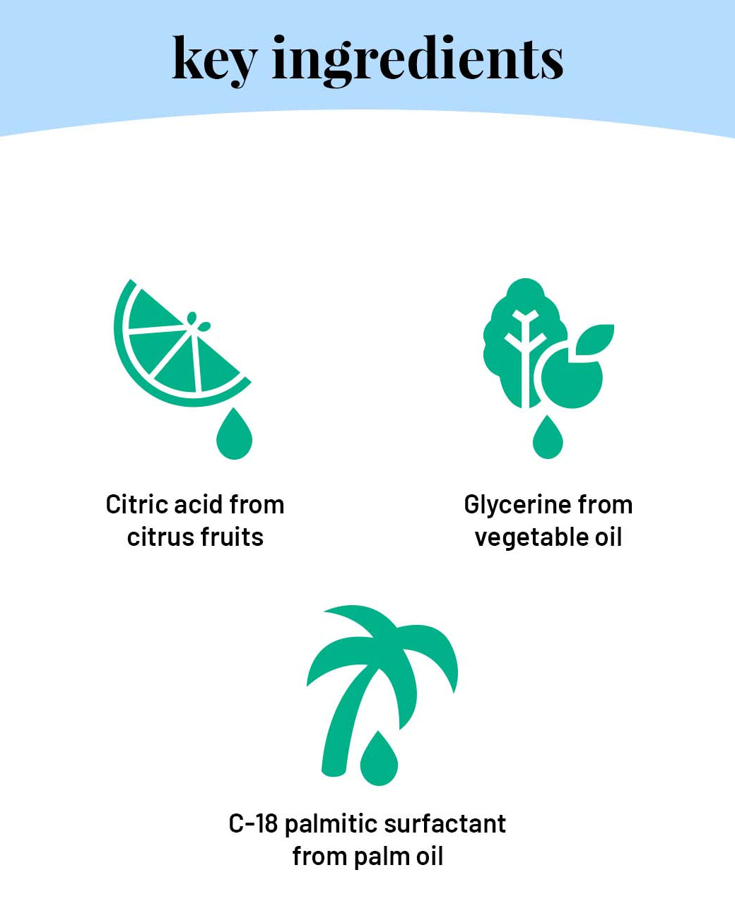 Home Cleaning Combo Packs - Our Better Planet