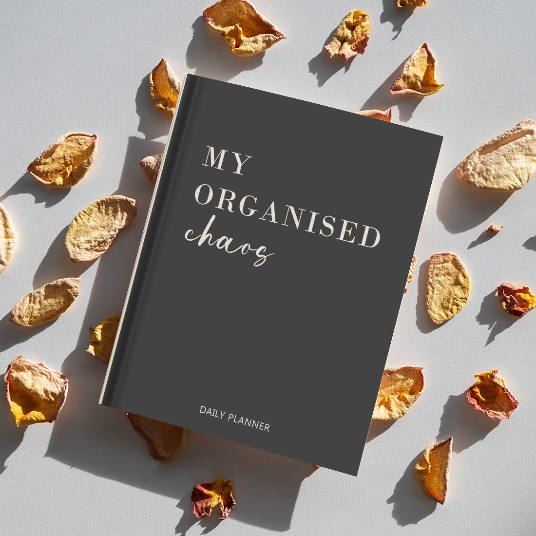 How making better choices in 2024 would have changed the World