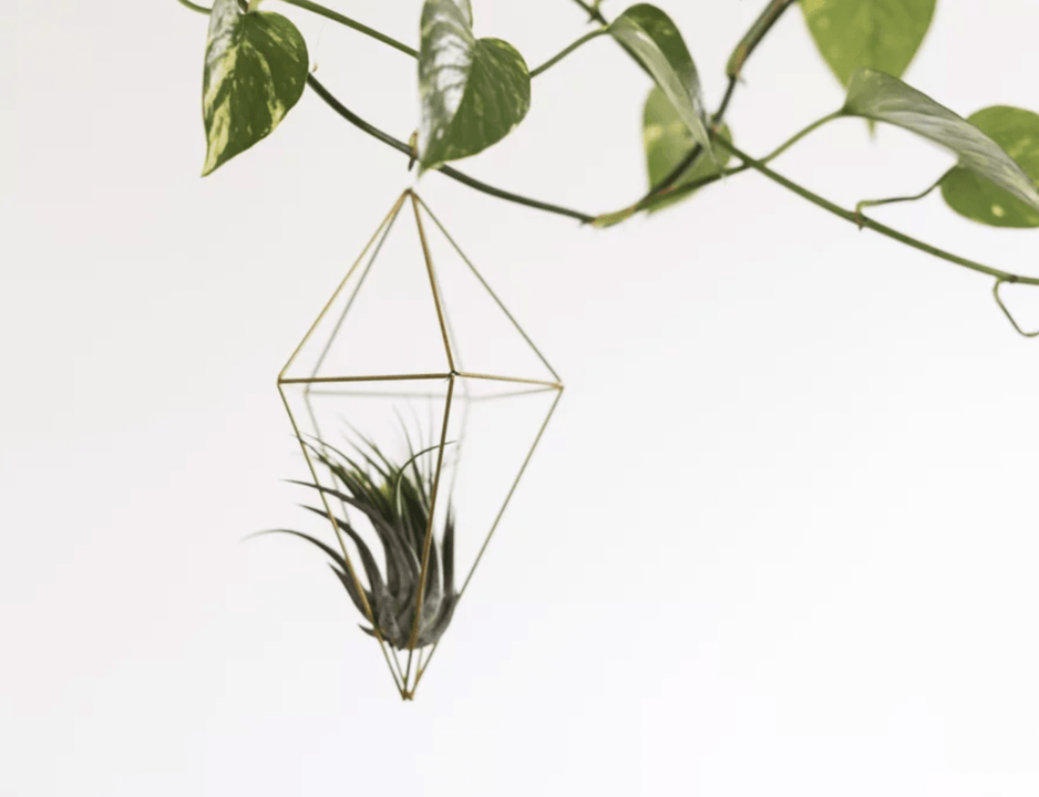 Sustainability and the family! - Our Better Planet