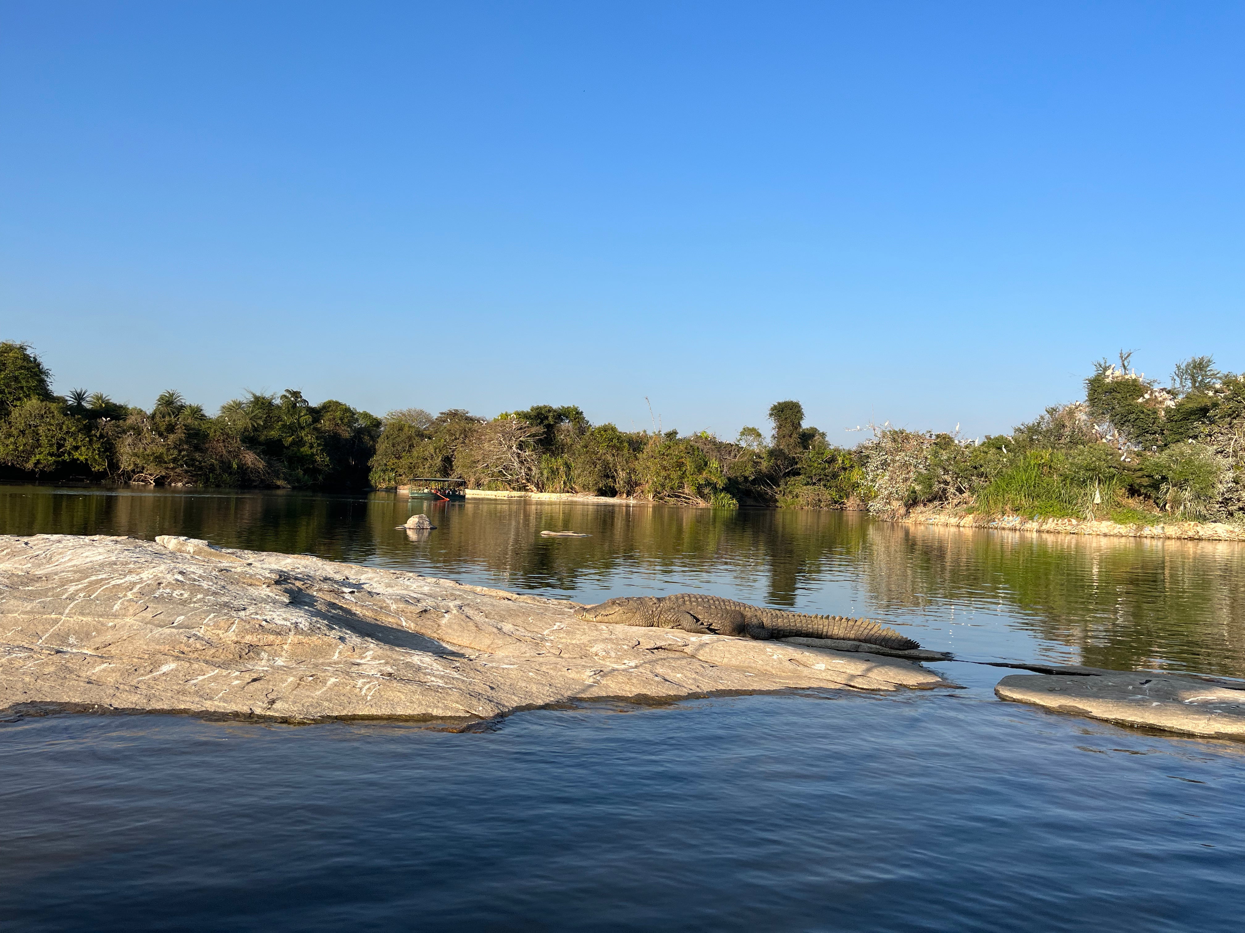 Essentials for Summer Travel!!