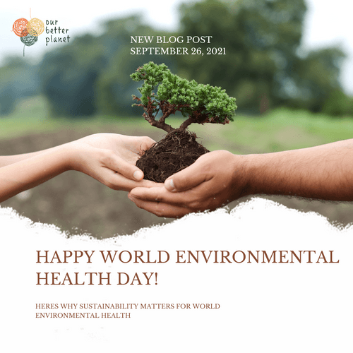 Why sustainability matters for World Environmental Health? - Our Better Planet