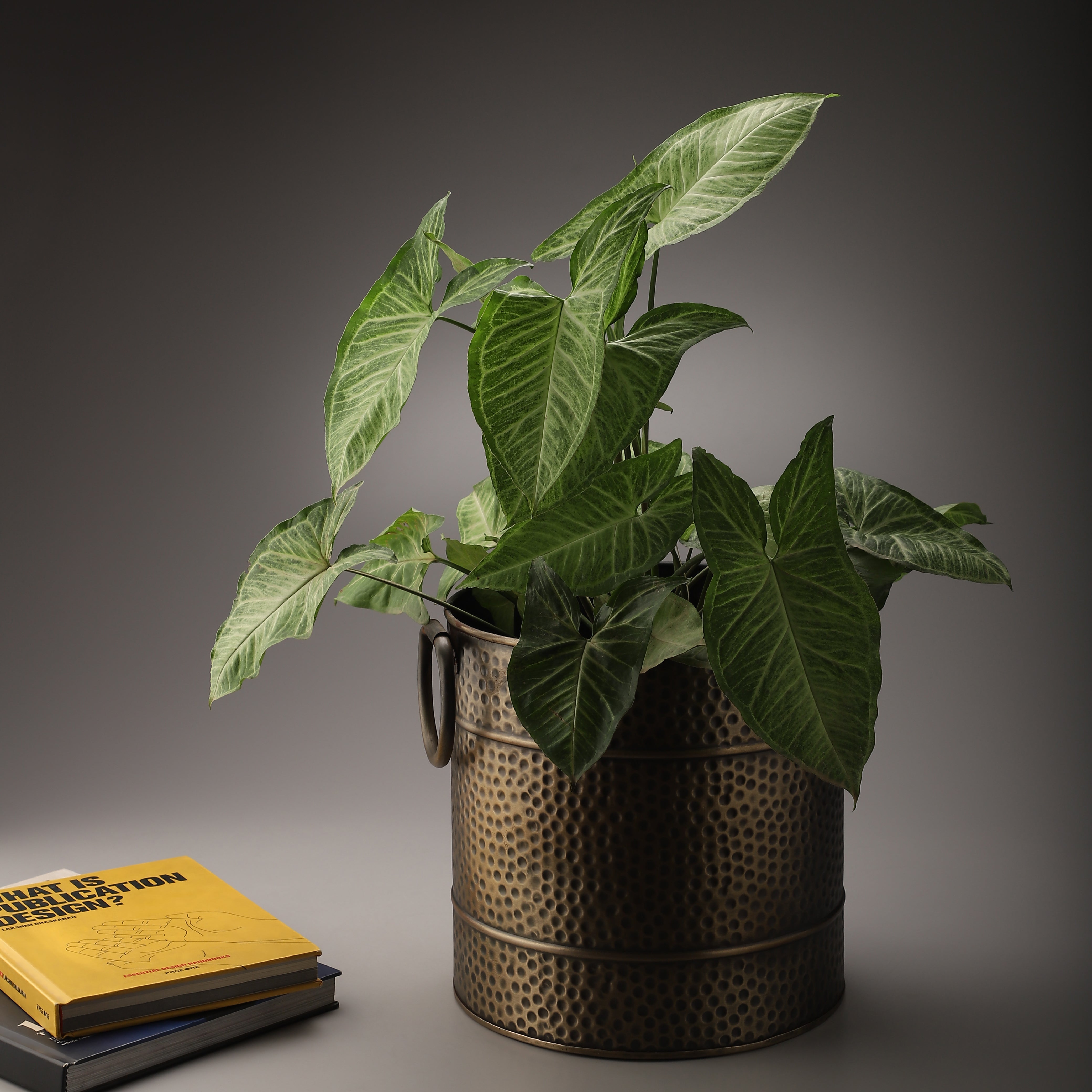Style an Inviting, Calmer Home for the Festive Season