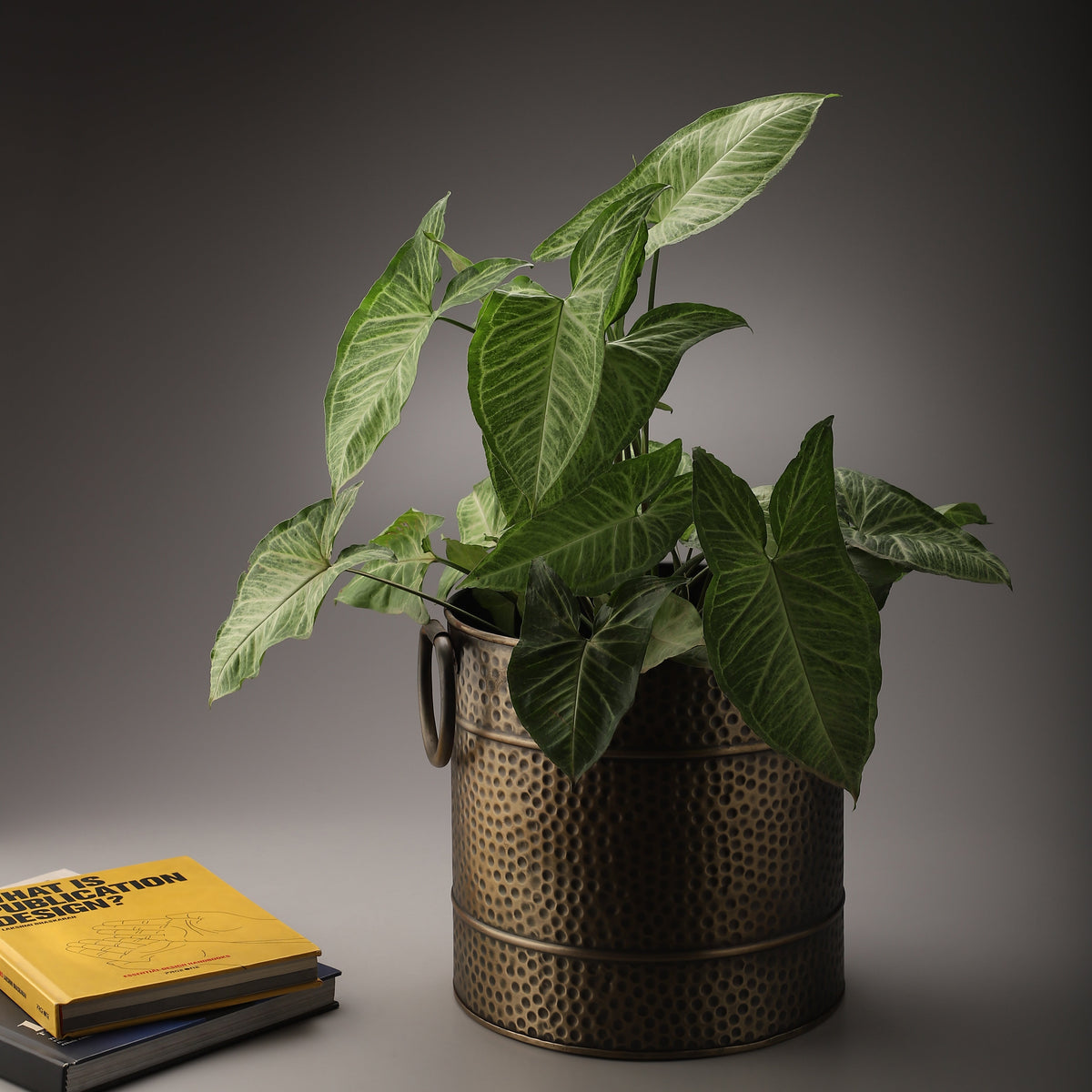 Style an Inviting, Calmer Home for the Festive Season