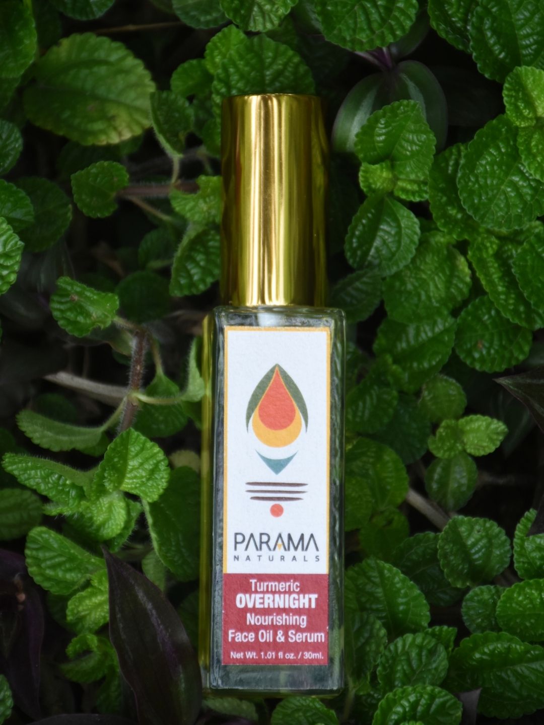 parama naturals, turmeric skin care, face serum, night face oil, wrinkles free, Dark Circle Remover , Acne-Prone Skin, Turmeric Skin Care, Coconut Oil