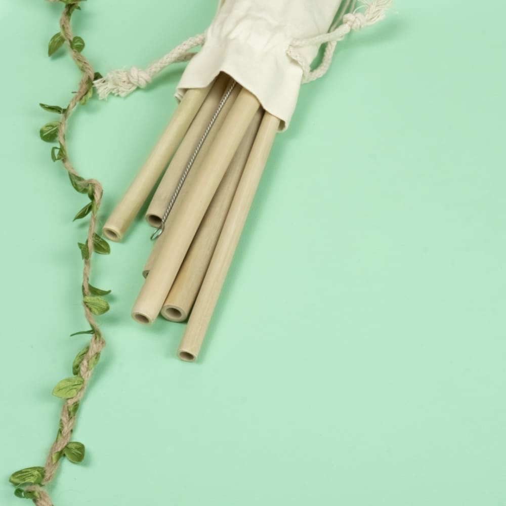 Bamboo Straws with Cleaner - Pack of 2 - Our Better Planet