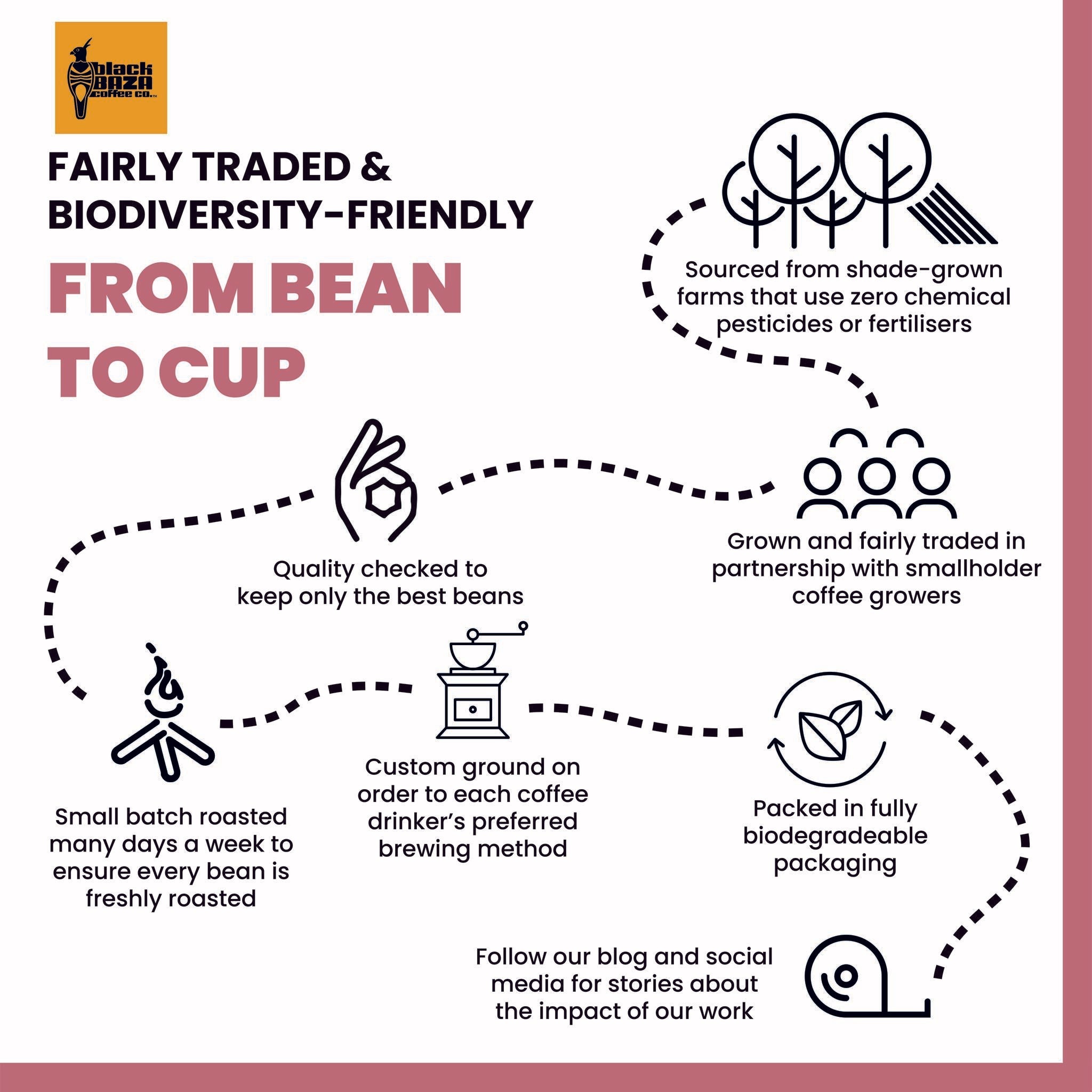 Black Baza Coffee Luna Robusta Freshly Roasted - Our Better Planet