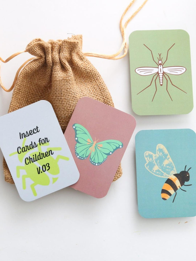 Earlybuds Coloured Animals, Birds and Insects Flashcards - Our Better Planet