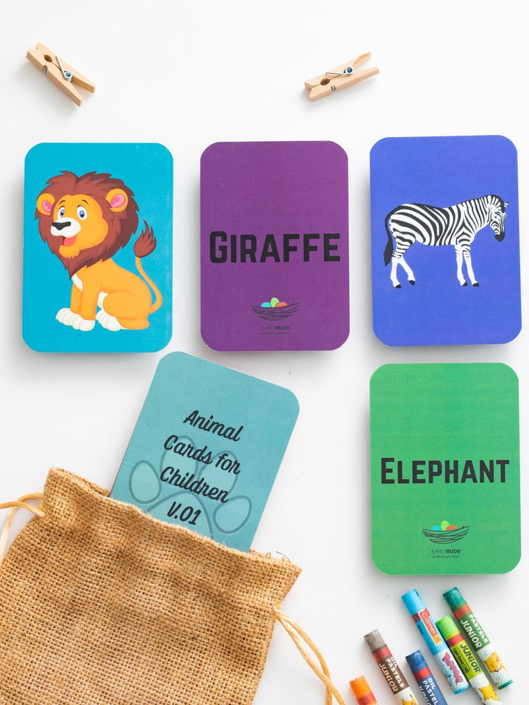 Earlybuds Coloured Animals, Birds and Insects Flashcards - Our Better Planet