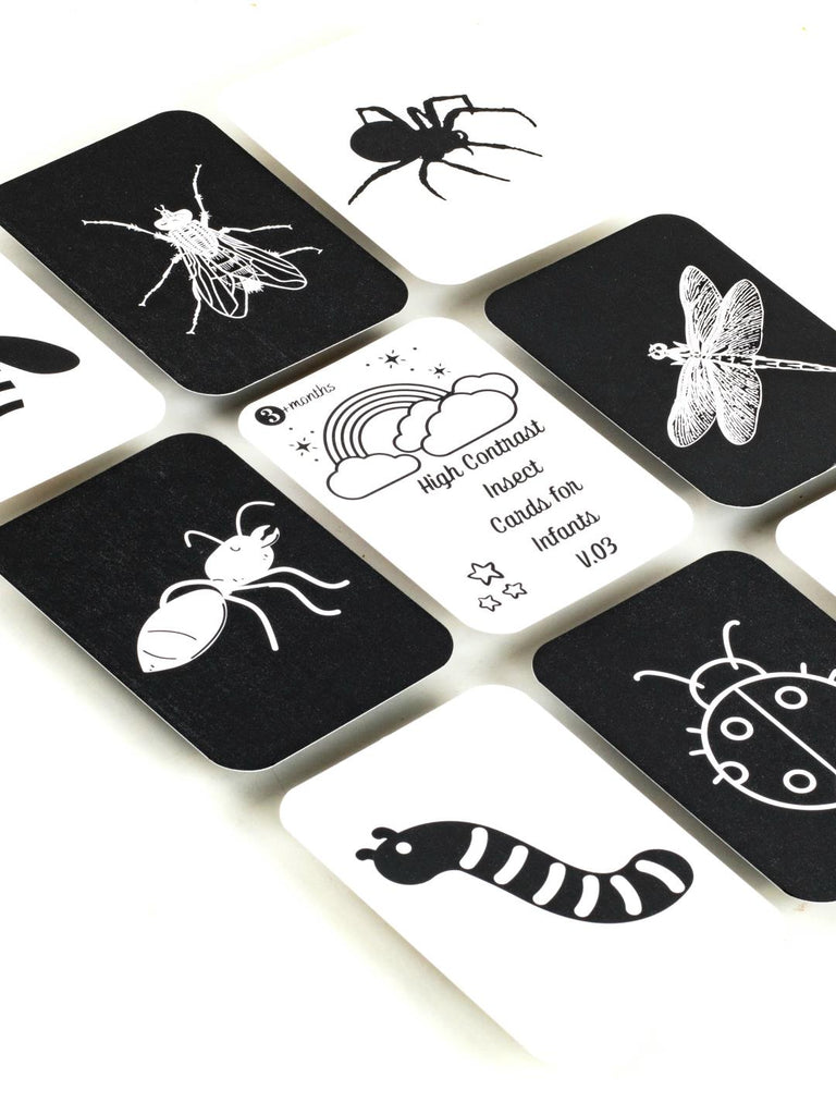Earlybuds High Contrast Insects Flashcards - Our Better Planet