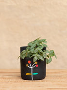 Earth Heart Dandelion Wish Hand Made Hand Illustrated Terracotta Planter (M) - Our Better Planet