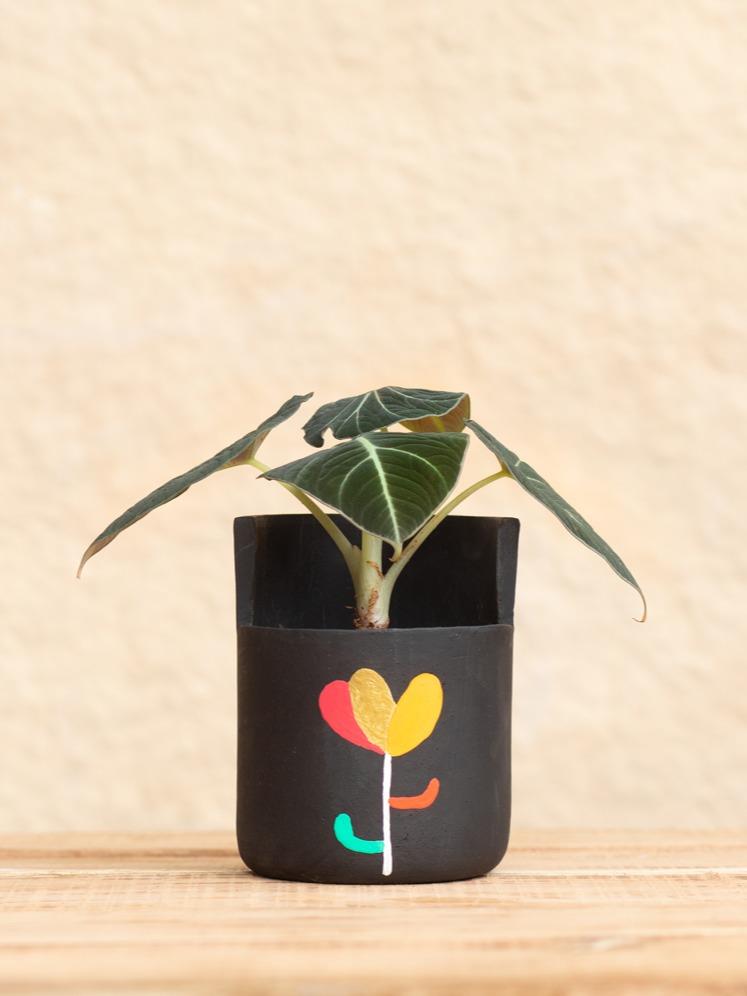 Earth Heart Jasmine Hand Made Hand Illustrated Terracotta Planter (M) - Our Better Planet