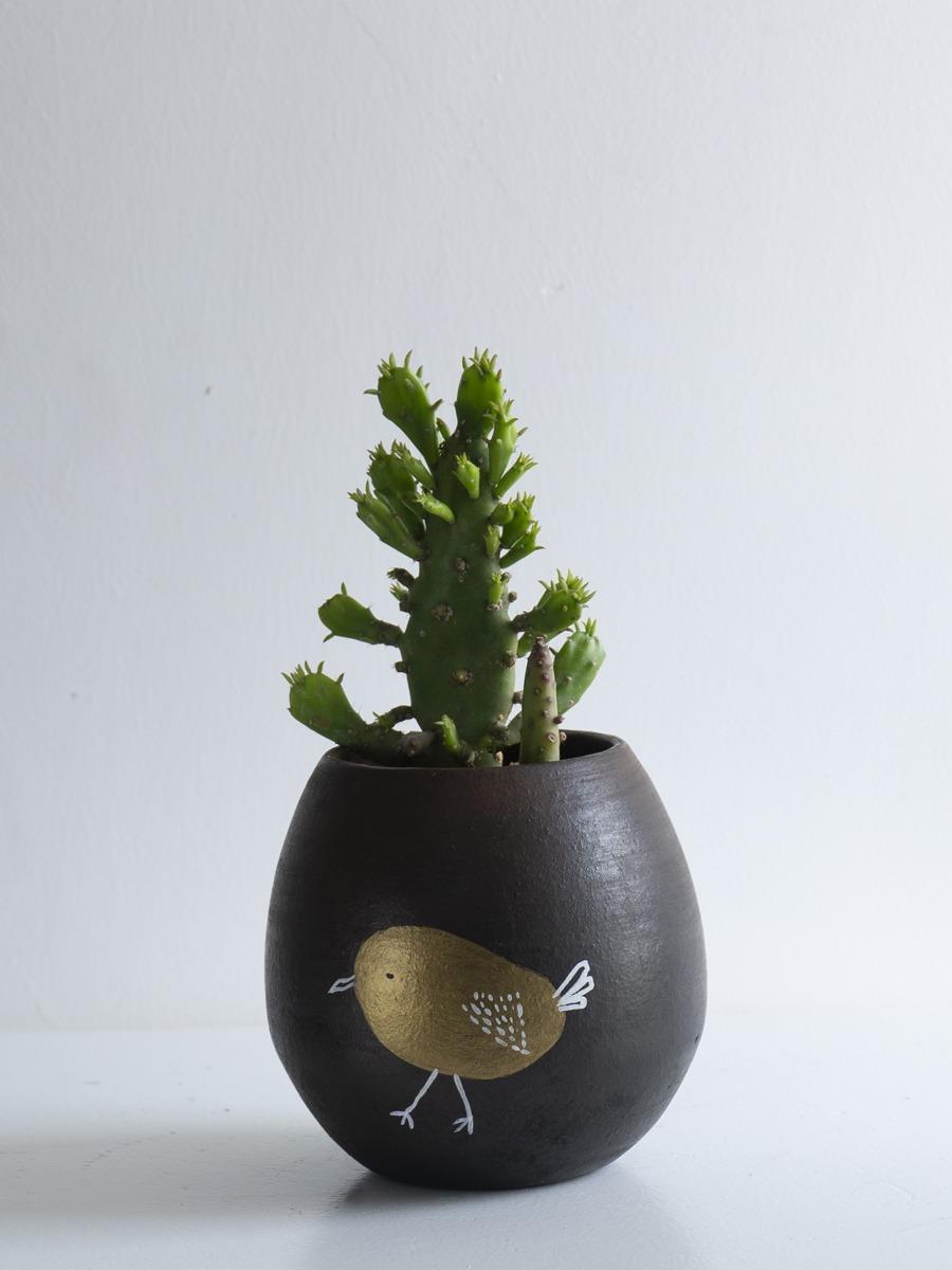 Earth Heart Li'l Coco Terracotta Planter - Our Better Planet