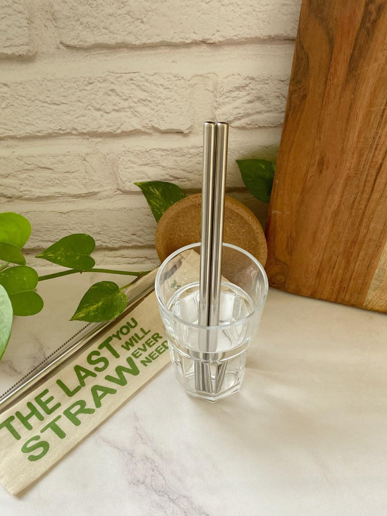 Earthist Reusable steel straw set - 2 Straight steel straw + 1 cleaner - Eco-friendly , Travel friendly , easy to clean - Our Better Planet