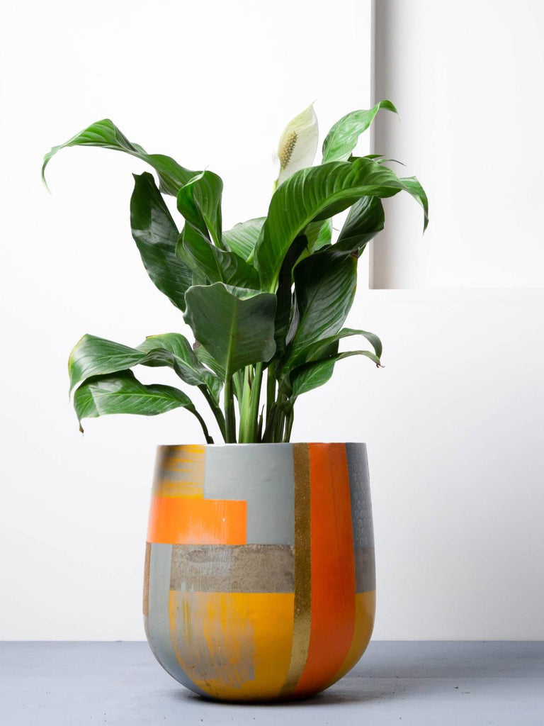 Eliteearth Concrete Ovate Planter-Suryaasta Collection - Our Better Planet