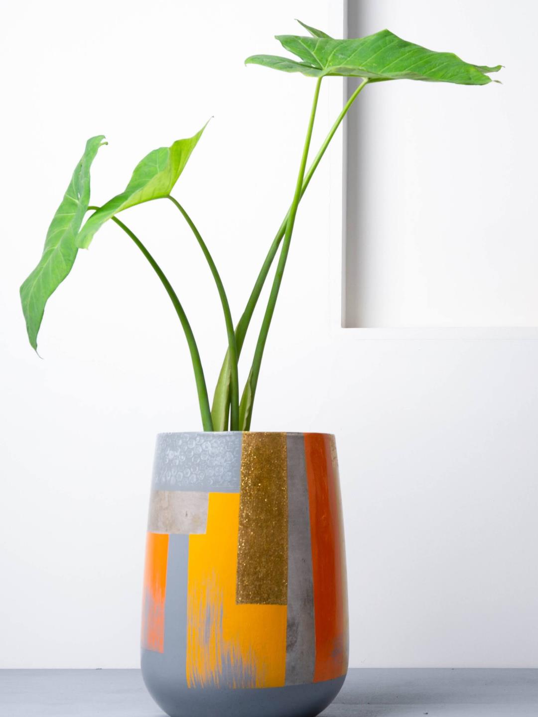 Eliteearth Concrete Parabola Planter- Suryaasta Collection - Our Better Planet