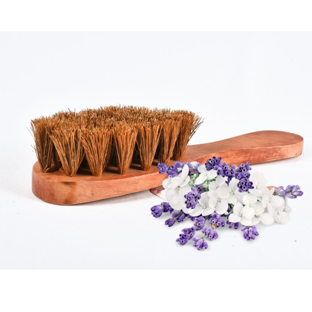 Exfoliating Dry Body Coir Brush - Our Better Planet