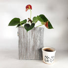 Grow pot Big Cassette Tape (GPB0323-006) - Our Better Planet