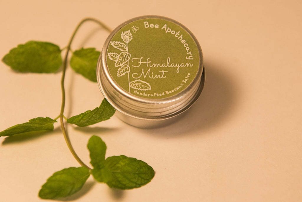 Himalayan Mint Beeswax Salve - Our Better Planet