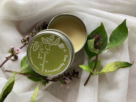 Himalayan Mint Beeswax Salve - Our Better Planet