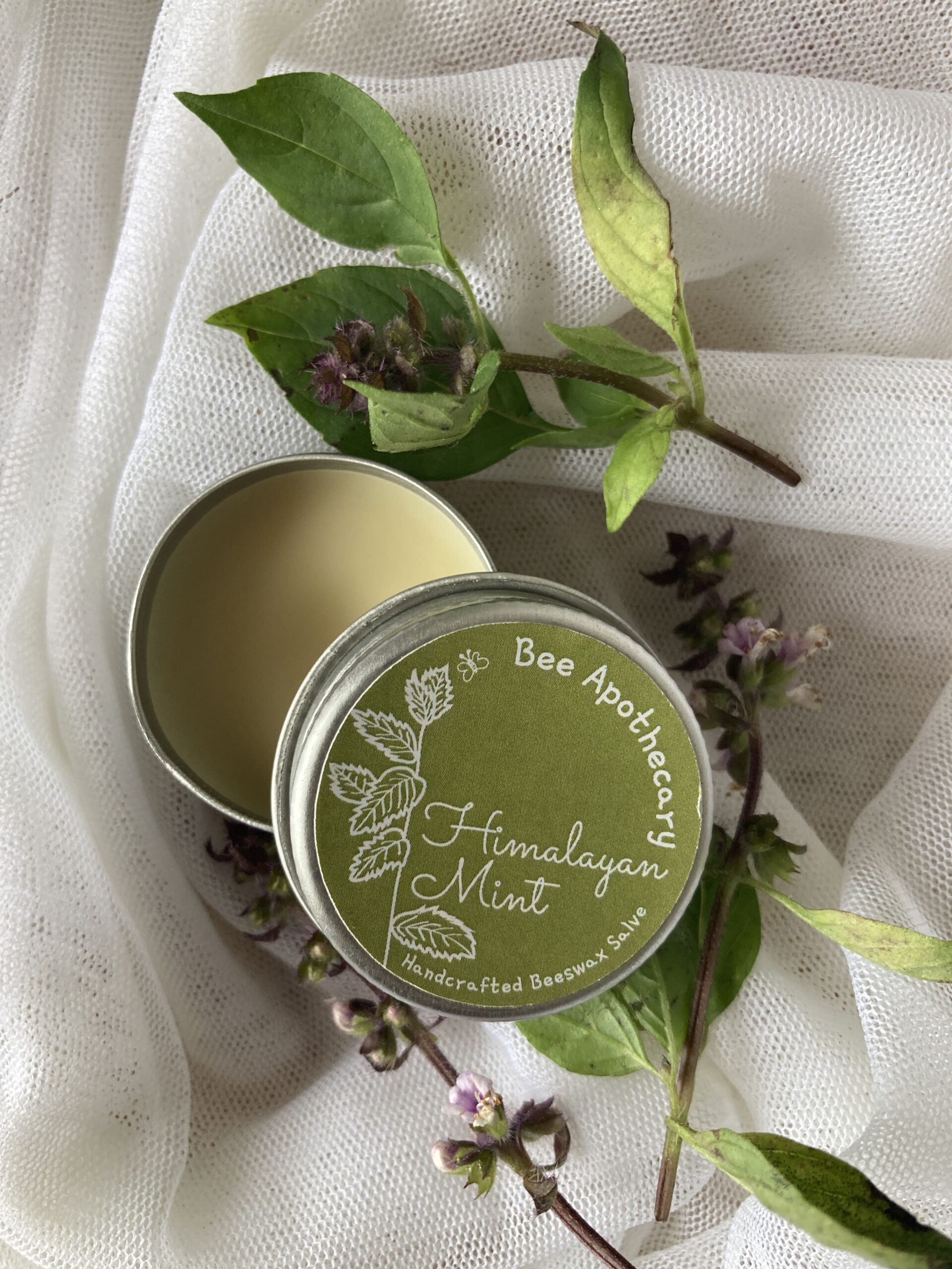 Himalayan Mint Beeswax Salve - Our Better Planet