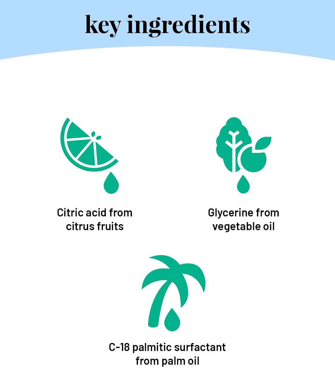 Home Cleaning Combo Packs - Our Better Planet